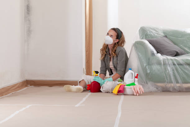 Reliable Black Mold Removal contractor in Rohrersville, MD by WQB Mold Removal